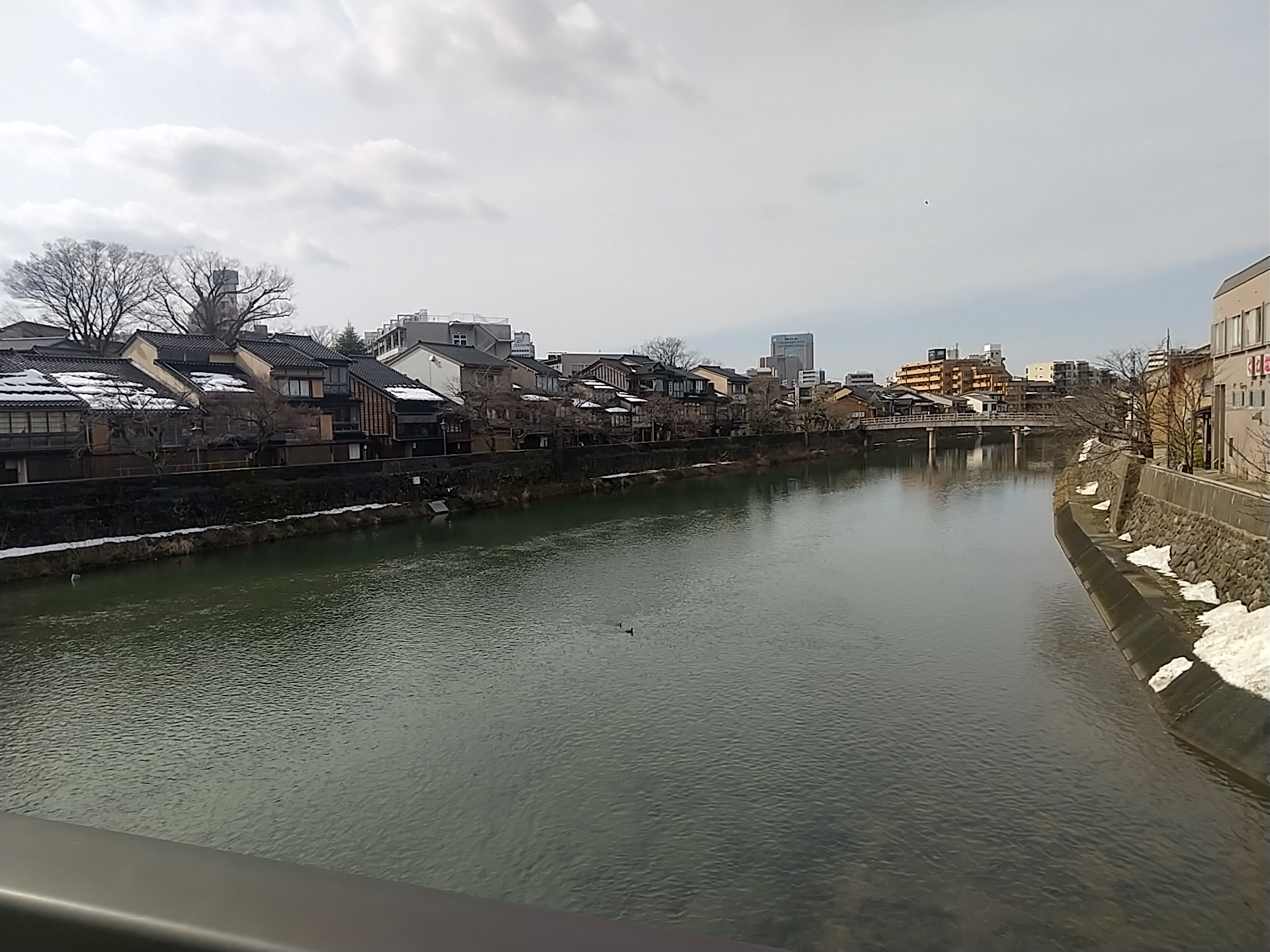 20250216_浅野川　中の橋